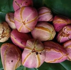 4 LOBES AFRICAN KOLANUT/ OJI IGBO